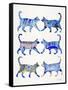 Blue Cat Collection-Cat Coquillette-Framed Stretched Canvas