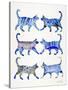 Blue Cat Collection-Cat Coquillette-Stretched Canvas