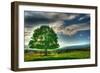 Blue Chip Sunset Tree-Robert Goldwitz-Framed Photographic Print