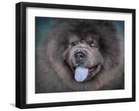 Blue Chow Chow Portrait-Jai Johnson-Framed Giclee Print