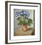 Blue Cineraria-Augustus John-Framed Premium Giclee Print