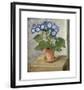 Blue Cineraria-Augustus John-Framed Premium Giclee Print