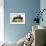 Blue Citroen-null-Framed Giclee Print displayed on a wall
