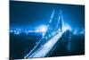 Blue City Bridge, Bay Bridge, San Francisco, California-Vincent James-Mounted Photographic Print
