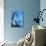 Blue Cloud-Vaan Manoukian-Art Print displayed on a wall