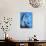 Blue Cloud-Vaan Manoukian-Art Print displayed on a wall
