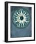 Blue Coastal-Jace Grey-Framed Art Print