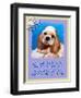 Blue Cocker Spaniel-Cathy Cute-Framed Premium Giclee Print