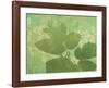 Blue Cohosh-April Flanders-Framed Giclee Print