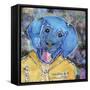 Blue Collared-Lauren Moss-Framed Stretched Canvas
