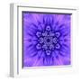 Blue Concentric Flower Center: Mandala Kaleidoscopic-tr3gi-Framed Art Print