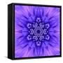 Blue Concentric Flower Center: Mandala Kaleidoscopic-tr3gi-Framed Stretched Canvas