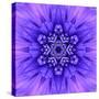 Blue Concentric Flower Center: Mandala Kaleidoscopic-tr3gi-Stretched Canvas