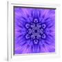 Blue Concentric Flower Center: Mandala Kaleidoscopic-tr3gi-Framed Art Print