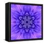 Blue Concentric Flower Center: Mandala Kaleidoscopic-tr3gi-Framed Stretched Canvas