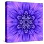Blue Concentric Flower Center: Mandala Kaleidoscopic-tr3gi-Stretched Canvas