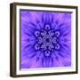 Blue Concentric Flower Center: Mandala Kaleidoscopic-tr3gi-Framed Art Print