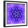 Blue Concentric Flower Center: Mandala Kaleidoscopic-tr3gi-Framed Art Print