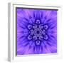 Blue Concentric Flower Center: Mandala Kaleidoscopic-tr3gi-Framed Art Print