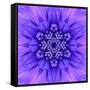 Blue Concentric Flower Center: Mandala Kaleidoscopic-tr3gi-Framed Stretched Canvas