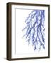 Blue Coral 3-Emma Jones-Framed Giclee Print