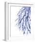 Blue Coral 3-Emma Jones-Framed Giclee Print