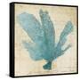 Blue Coral I-Anna Polanski-Framed Stretched Canvas