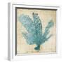 Blue Coral I-Anna Polanski-Framed Art Print