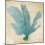 Blue Coral I-Anna Polanski-Mounted Art Print