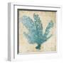 Blue Coral I-Anna Polanski-Framed Art Print