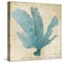 Blue Coral I-Anna Polanski-Stretched Canvas