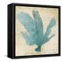 Blue Coral I-Anna Polanski-Framed Stretched Canvas