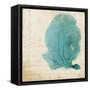 Blue Coral II-Anna Polanski-Framed Stretched Canvas