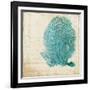 Blue Coral II-Anna Polanski-Framed Art Print