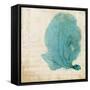 Blue Coral II-Anna Polanski-Framed Stretched Canvas