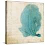 Blue Coral II-Anna Polanski-Stretched Canvas