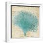 Blue Coral III-Anna Polanski-Framed Art Print