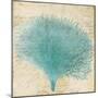 Blue Coral III-Anna Polanski-Mounted Art Print
