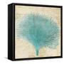 Blue Coral III-Anna Polanski-Framed Stretched Canvas