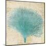 Blue Coral III-Anna Polanski-Mounted Art Print