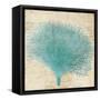 Blue Coral III-Anna Polanski-Framed Stretched Canvas