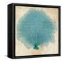 Blue Coral IV-Anna Polanski-Framed Stretched Canvas