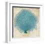 Blue Coral IV-Anna Polanski-Framed Art Print