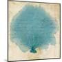 Blue Coral IV-Anna Polanski-Mounted Art Print