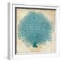 Blue Coral IV-Anna Polanski-Framed Art Print