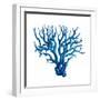 Blue Coral Mate-OnRei-Framed Art Print