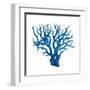 Blue Coral Mate-OnRei-Framed Art Print