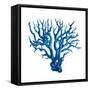 Blue Coral Mate-OnRei-Framed Stretched Canvas