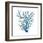 Blue Coral-OnRei-Framed Art Print