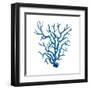 Blue Coral-OnRei-Framed Art Print